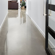 Polished Concrete